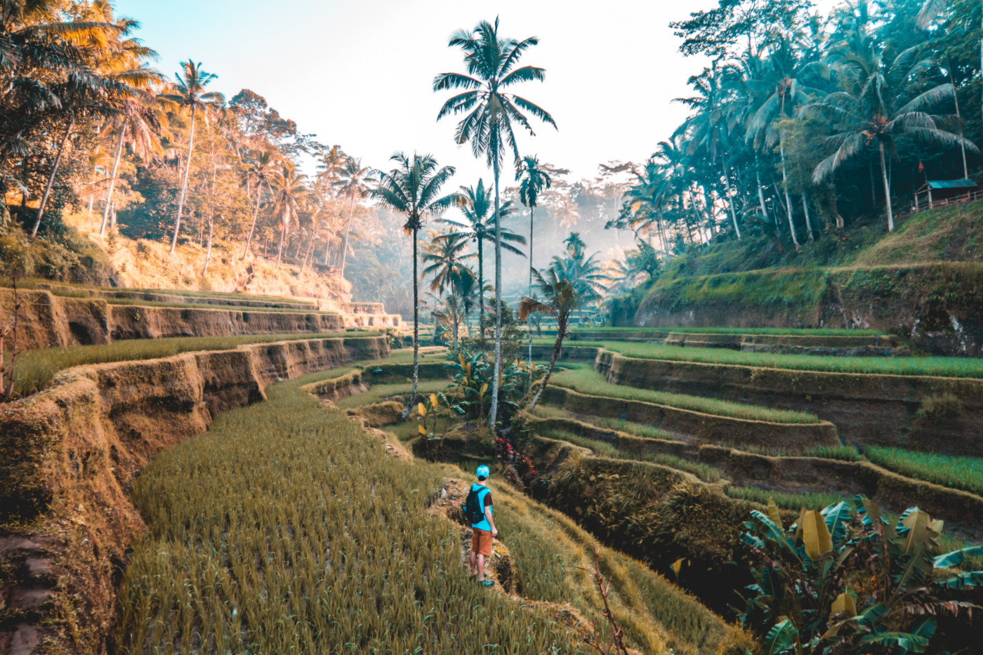 10 vigtige ting at pakke med til din rejse til Bali, Indonesien