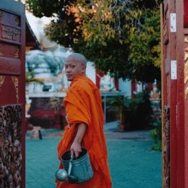 Munk i Thailand