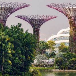 Gardens by the Bay i Singapore