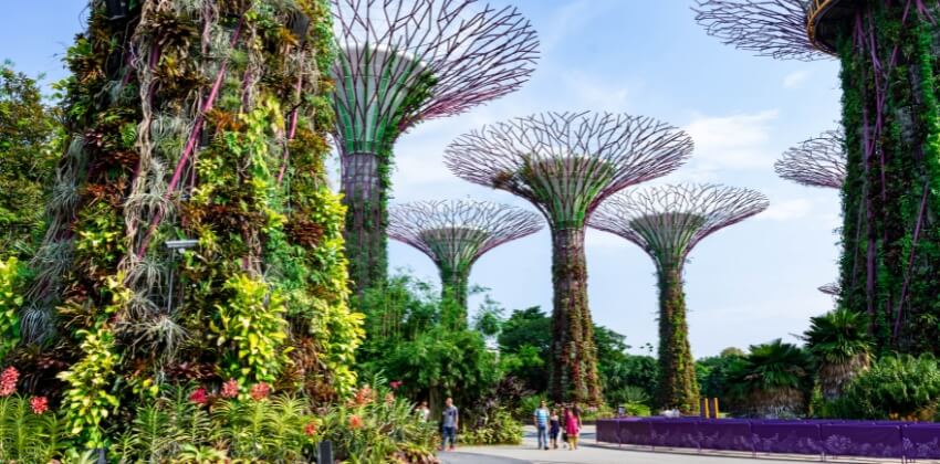 Singapore