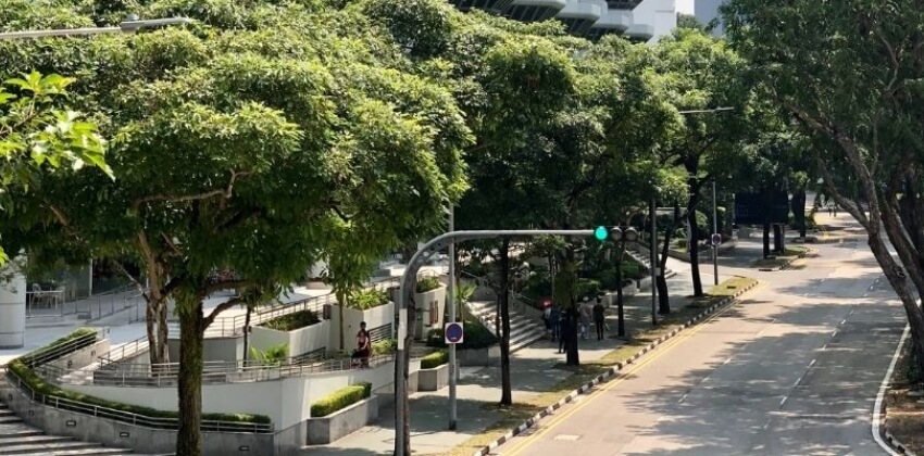 Singapores rene gader