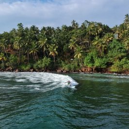 Surfing i Sri Lanka