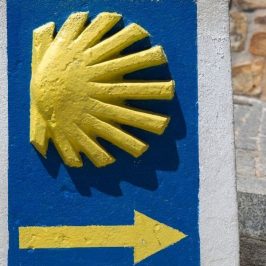 Caminoen længde