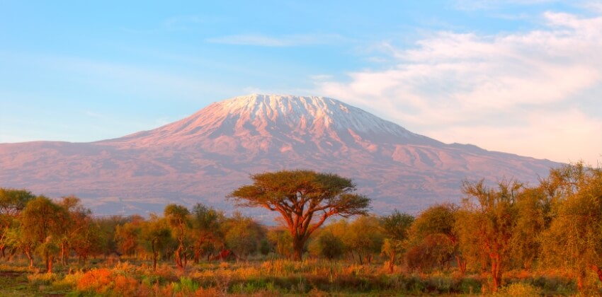 Kilimanjaro og natur