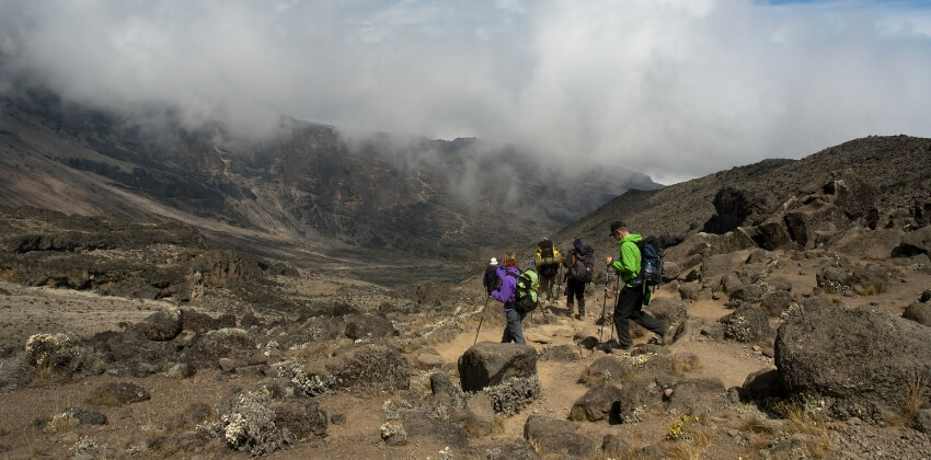 Kilimanjaro trekking