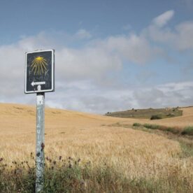 Caminoen