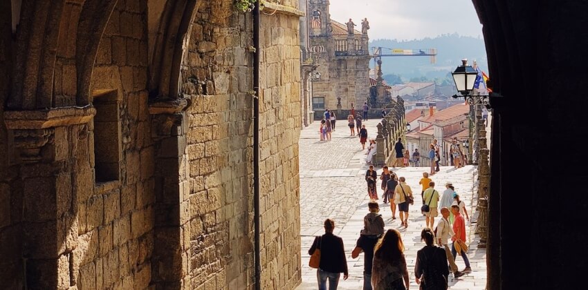 Camino guide