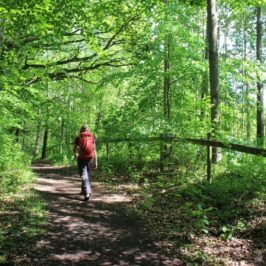 Skrylle naturreservat