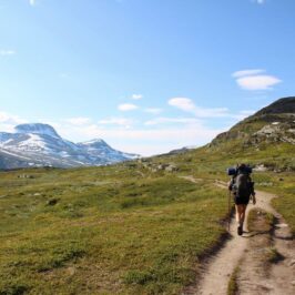 Allemandsretten i Norge og Sverige