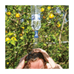 LifeVenture Travel Bottle Shower - Rejsebrusehoved til flaske