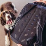Gregory Nano 16 Daypack - Letvægts Rygsæk til Hverdag og Rejse