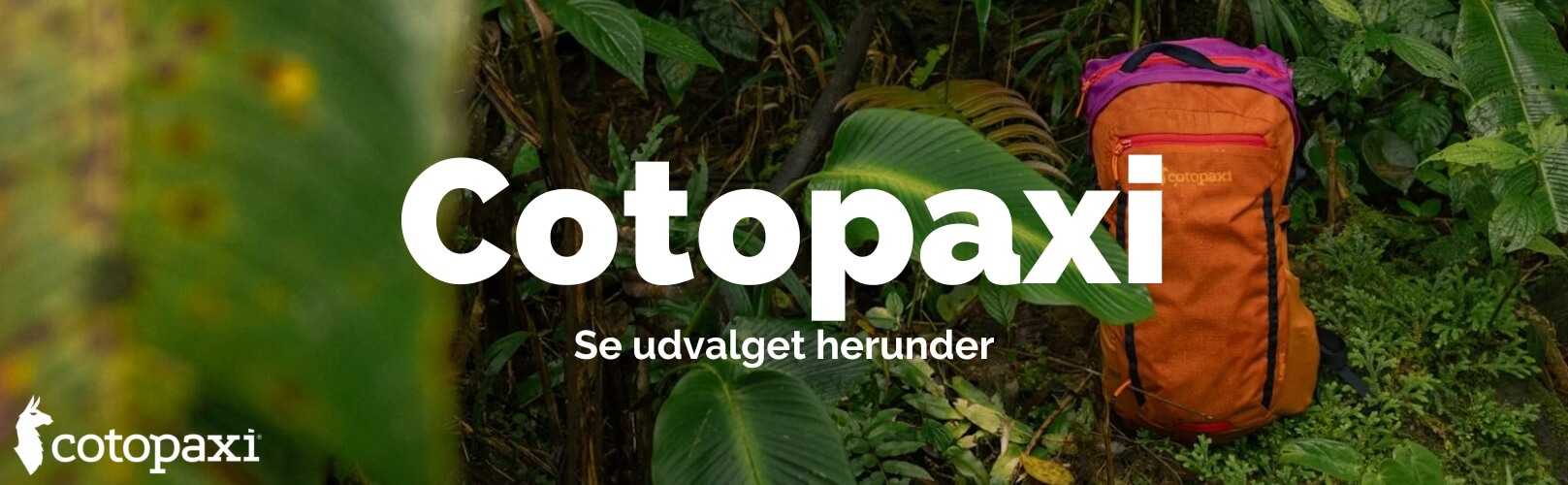 Cotopaxi banner billede