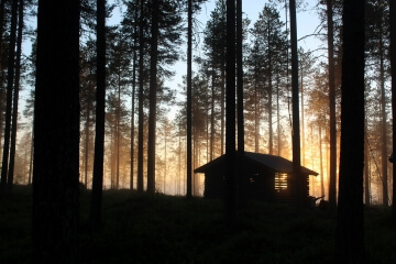 Shelter