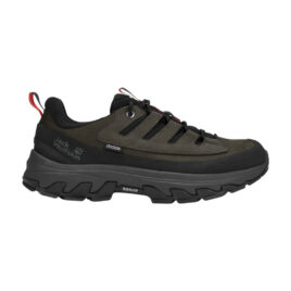 Vandresko herre - Jack Wolfskin Apex Hike Texapore Low - Grøn